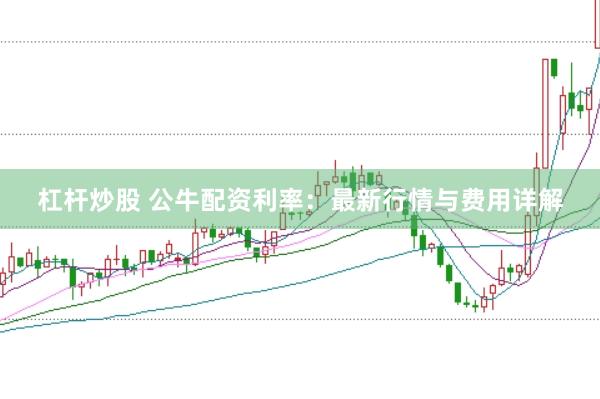 杠杆炒股 公牛配资利率：最新行情与费用详解