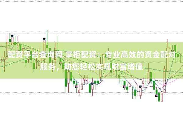 配资平台查询网 掌柜配资:专业高效的资金配对服务,助您轻松实现财富增值