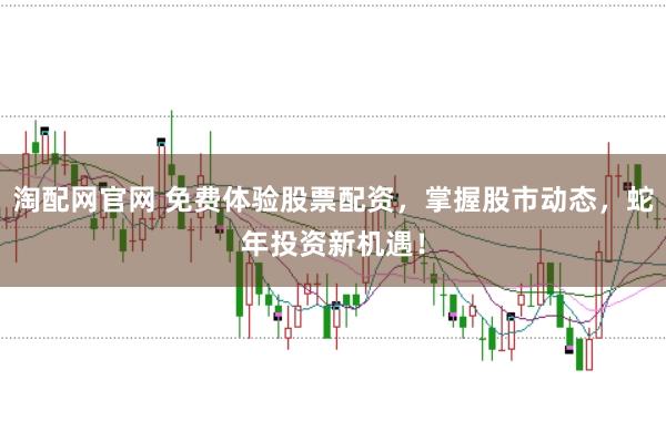 淘配网官网 免费体验股票配资，掌握股市动态，蛇年投资新机遇！