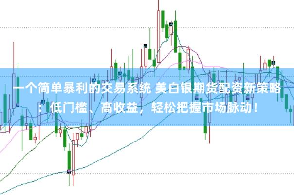 一个简单暴利的交易系统 美白银期货配资新策略:低门槛、高收益,轻松把握市场脉动!