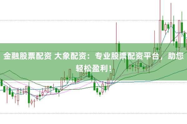 金融股票配资 大象配资:专业股票配资平台,助您轻松盈利!